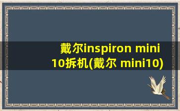 戴尔inspiron mini10拆机(戴尔 mini10)